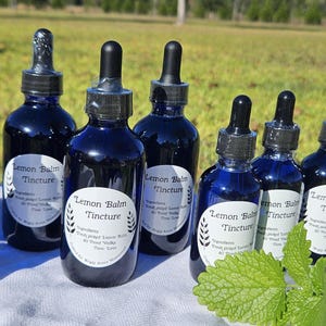Lemon Balm Tincture