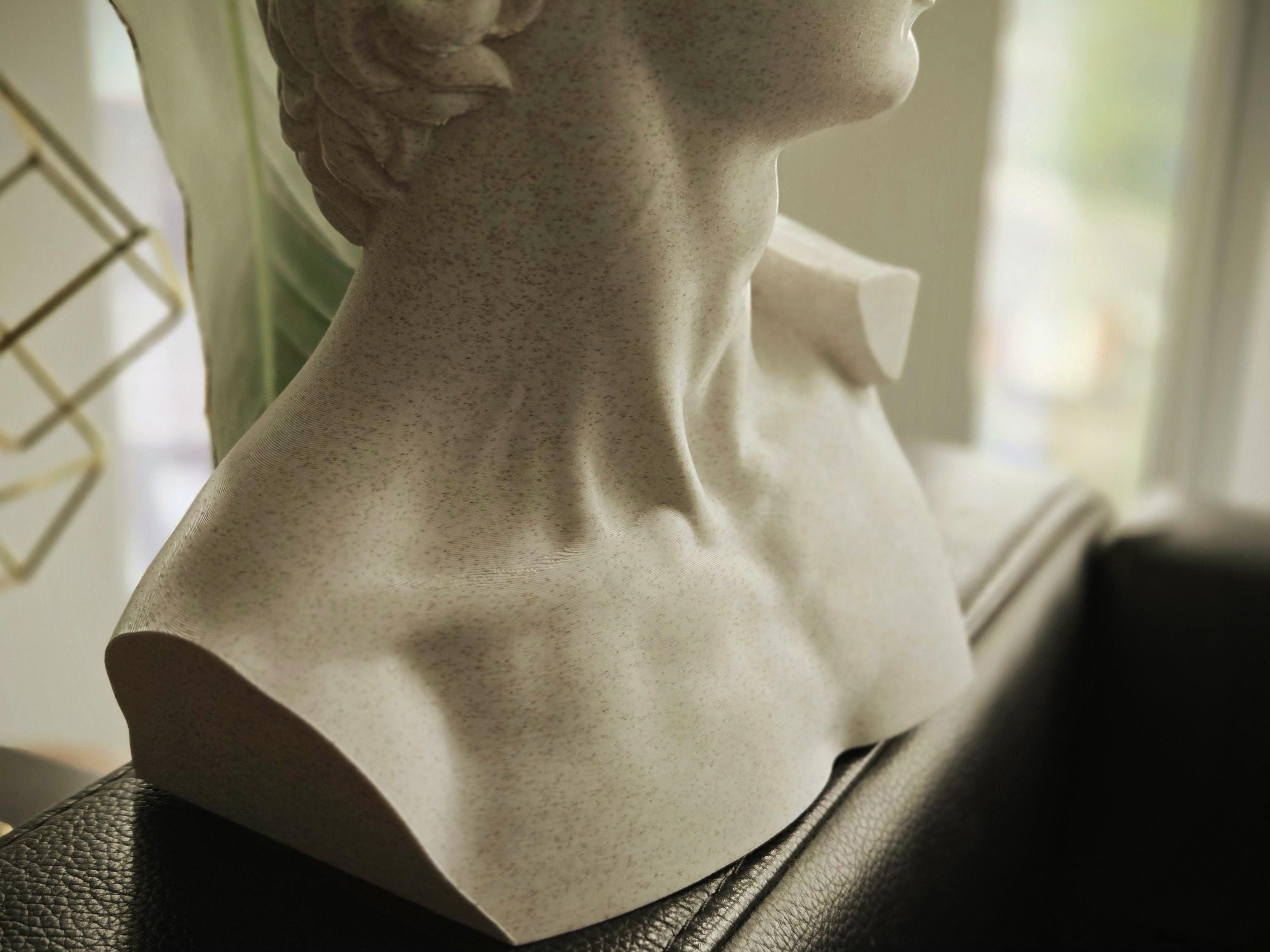 ミケランジェロのダビデ像 - 美術館品質のレプリカ - 大理石複合彫刻