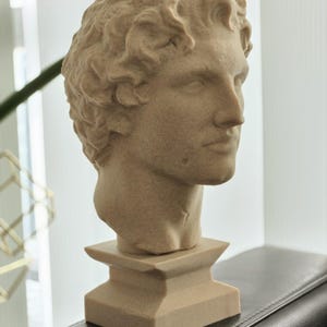 May include: A beige-colored bust of a classical male figure. The sculpture features detailed facial features, curly hair, and a square pedestal base. The bust is a decorative item, suitable for home decor.