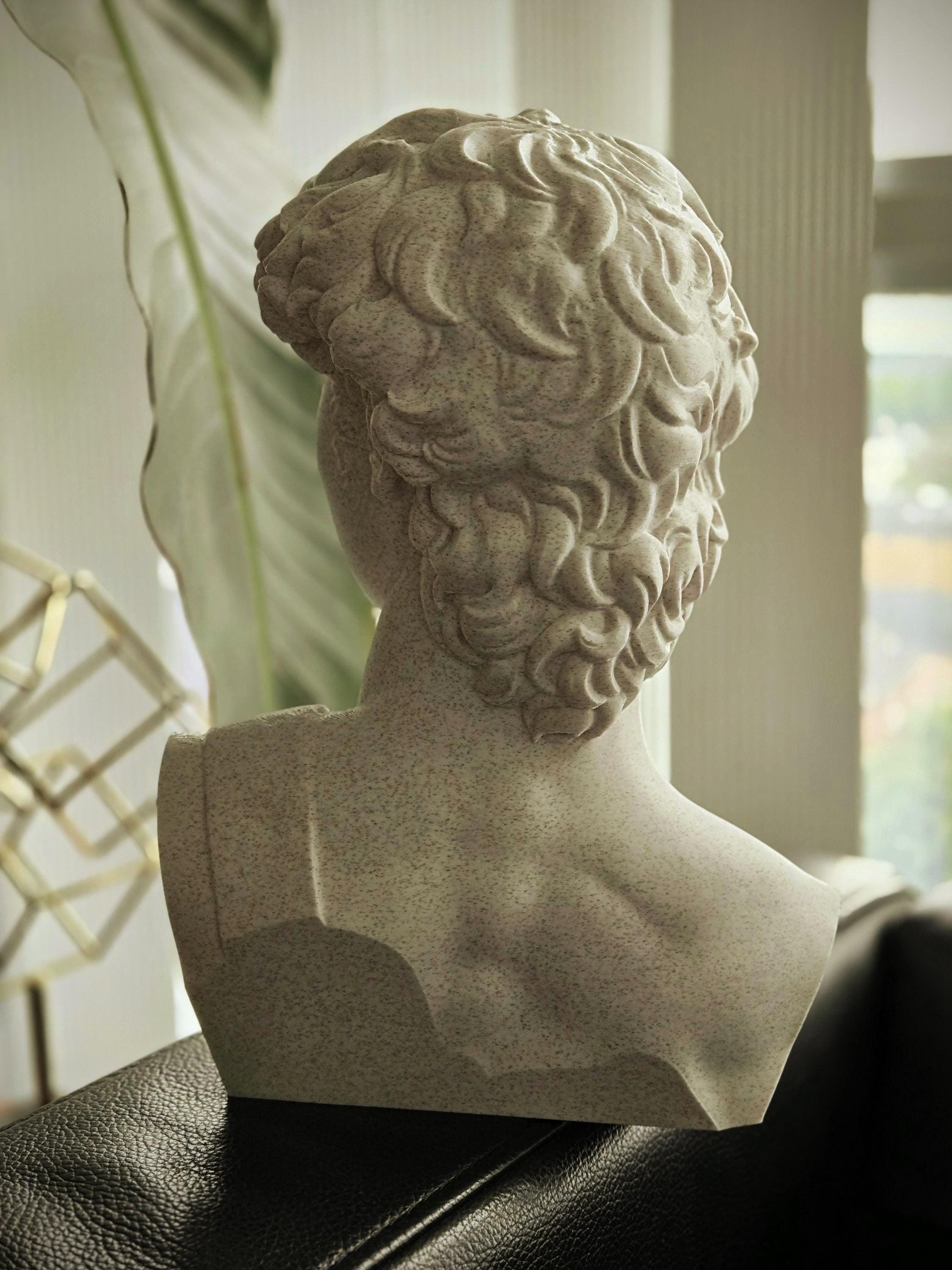 ミケランジェロのダビデ像 - 美術館品質のレプリカ - 大理石複合彫刻