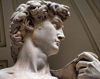 ミケランジェロのダビデ像 - 美術館品質のレプリカ - 大理石複合