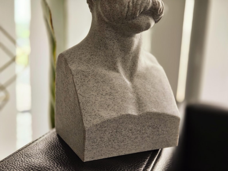 May include: A gray stone bust sculpture of a person with a mustache. The bust is on a dark surface.