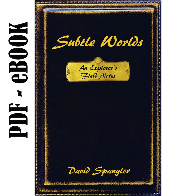 Explorer Field Notes Subtle Worlds: an Explorer's Field Notes - PDF - Etsy