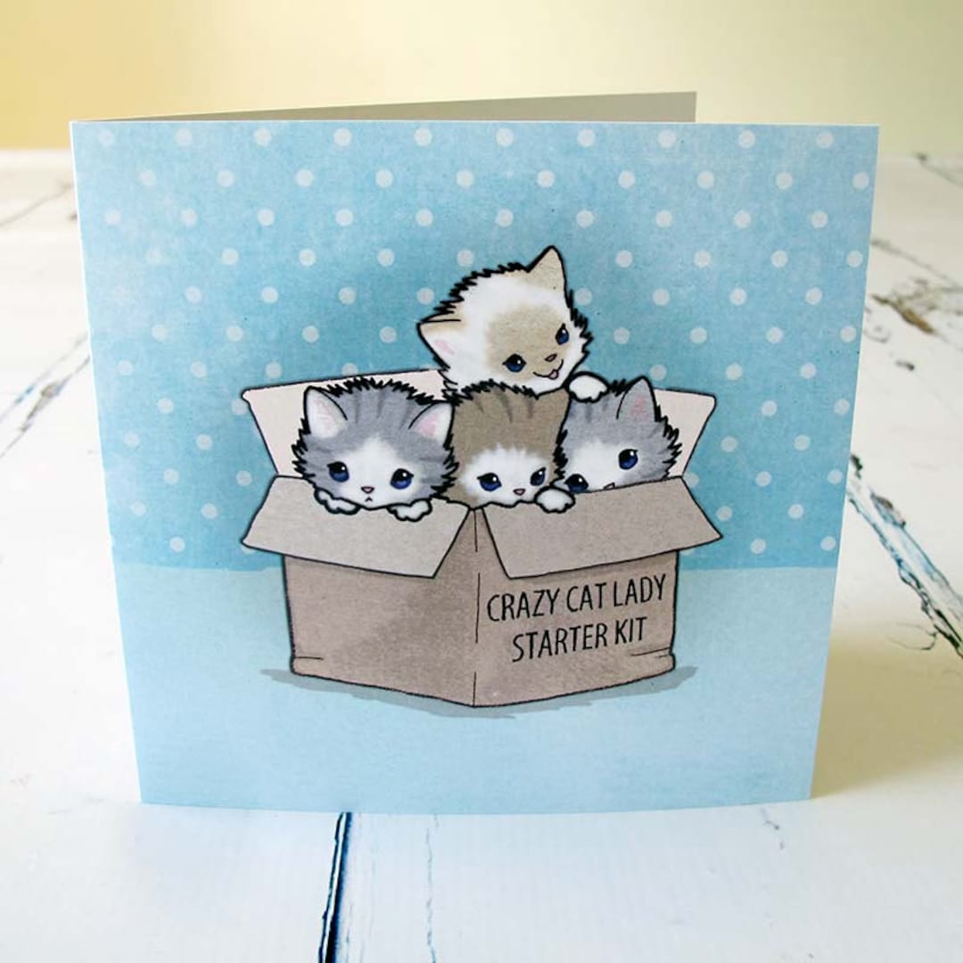 Crazy Cat Lady Starter Kit Card Etsy UK
