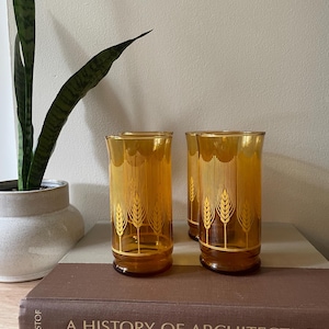 Vintage Libbey Golden Ernte Weizen Glas 4er Set 1970er Jahre MCM Glassware Amber Trinkgläser