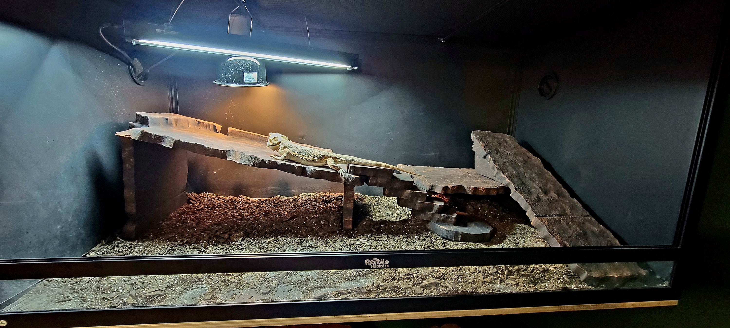 Reptile Basking Platform These Custom, Hand Crafted, Hand Painted