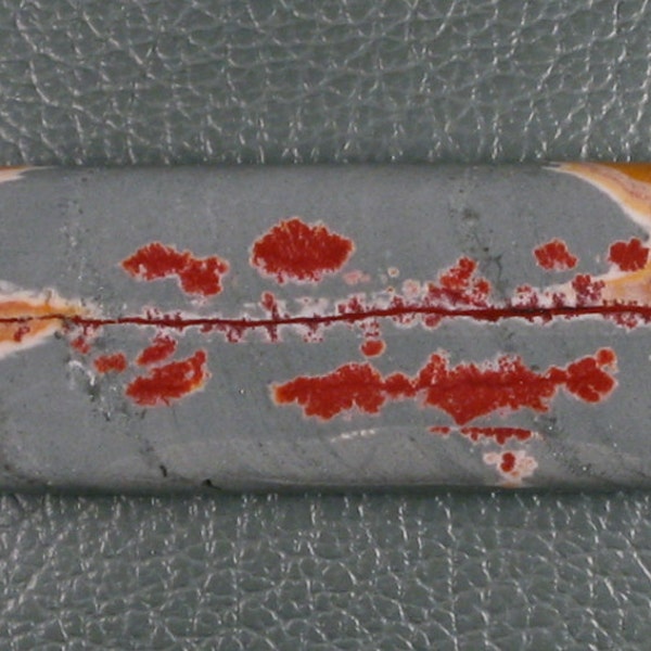 NAC Designer Natural Gemstone Cabochon Sonora Dendrite Jasper