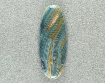 Designer Cabochon Petrified Bog Wood