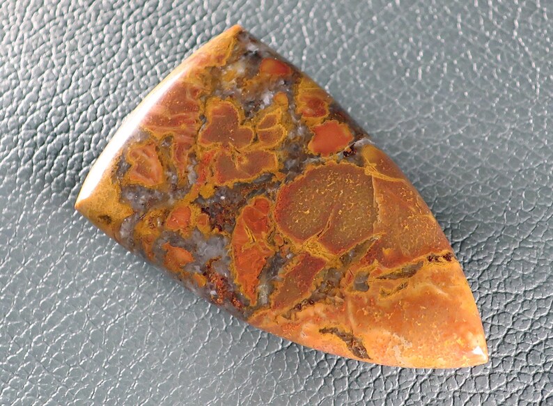 Designer Cabochon King Cobra Jasper