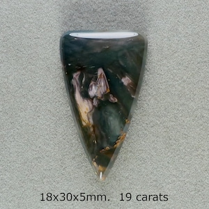May include: A polished, triangular gemstone with a mix of dark green, white, and brown patterns. The stone is 18x30x5mm and weighs 19 carats. The surface is smooth and reflective, with a natural, organic appearance.