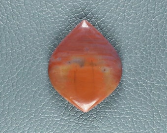 Designer Cabochon Petrified Wood Arizona