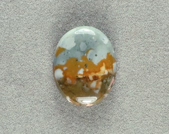 Ontwerper Cabochon Rocky Butte Jasper