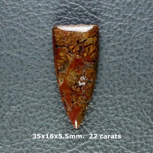 May include: A polished gemstone with a distinctive pattern of brown, red, and white. The stone is a tapered shape, measuring approximately 3.5 x 1.6 x 0.5 cm and weighing 22 carats. The surface has a textured appearance.
