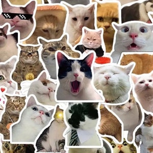 10-50 Sticker Set Funny Cats No Repeats Vinyl Decal Pack Waterproof Cat Memes Cute Animal Lovers Joke