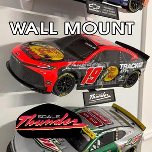 May include: Wall mount display of a red, black, and gray race car with the number 19. The car features sponsor logos and the text "SCALE THUNDER". Another car with the number 88 is visible below. The text "WALL MOUNT" is displayed above the cars.