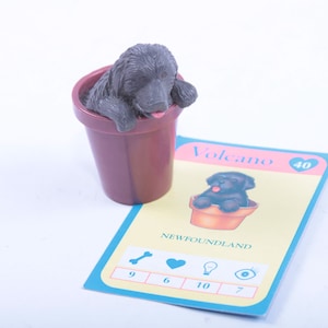 Chiot dans ma poche, volcan, Terre-Neuve, vintage, miniature, jouet, hasbro, chien en plastique, dans un pot de fleur, fiche d'information ~ 950