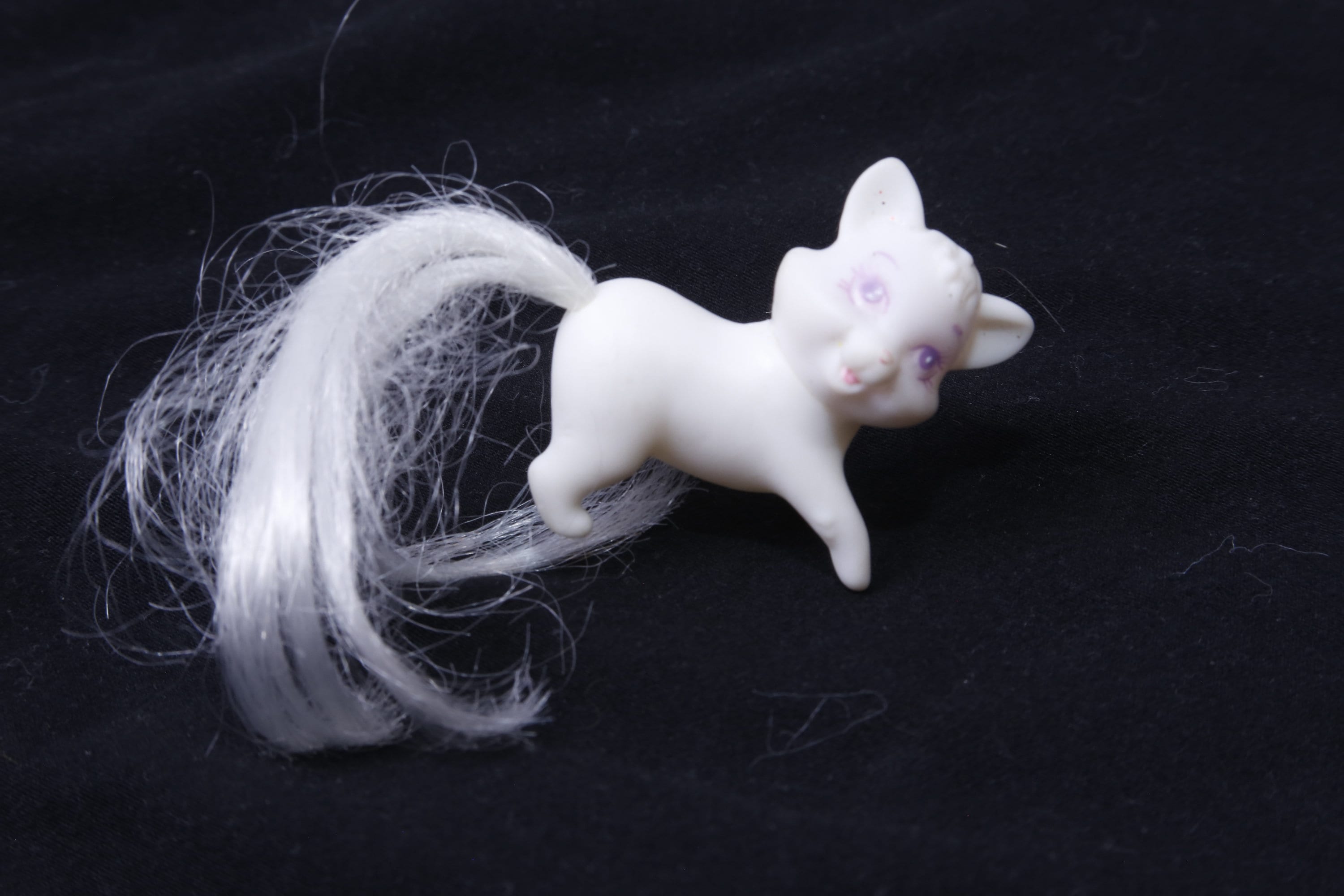 antique cat ୨୧ * 小さな 白いリボンの 猫ちゃん The cat