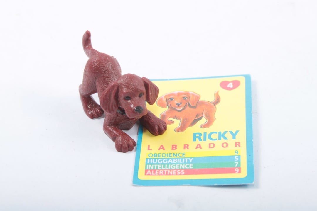 Puppy in My Pocket, Ricky, Labrador, Vintage, Miniature, Toy