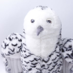 以下が含まれることがあります： 大きく丸い目をした白と黒のぬいぐるみフクロウ。フクロウは白い顔と黒いクチバシをしています。