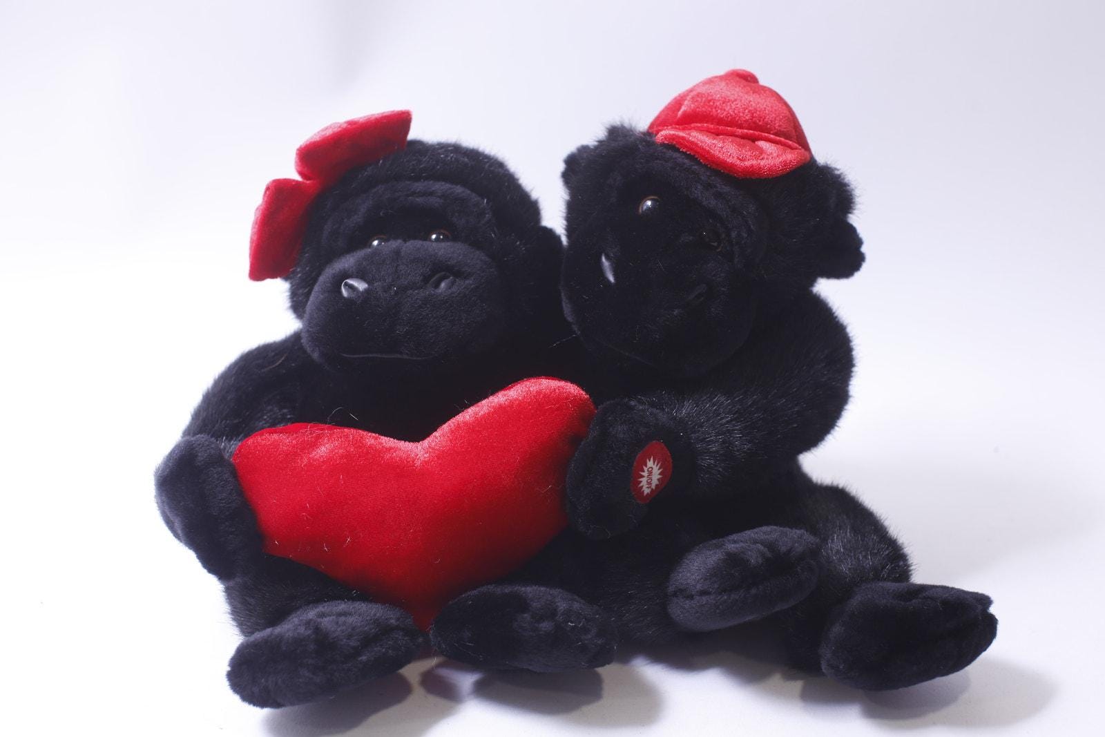 Kids of America, 2000, Gorillas, Love, Hair, Valentine's Day