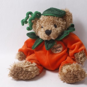 May include: A tan plush teddy bear wearing a bright orange pumpkin costume. The costume features a green leaf collar, a green stem and vine on the head, and a small patch on the chest with the embroidered text Punkin Poo in brown script.