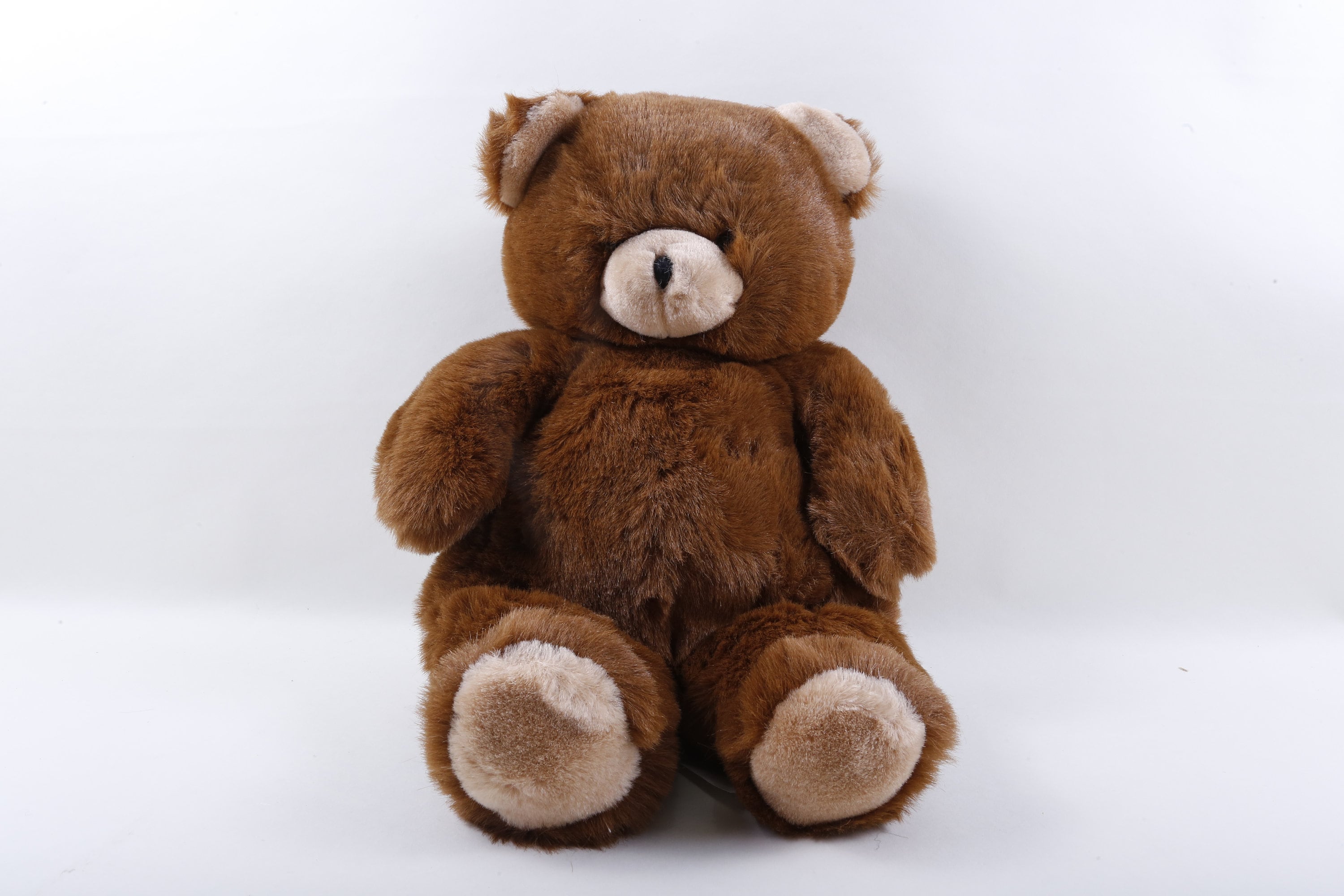 starwalk teddy bear
