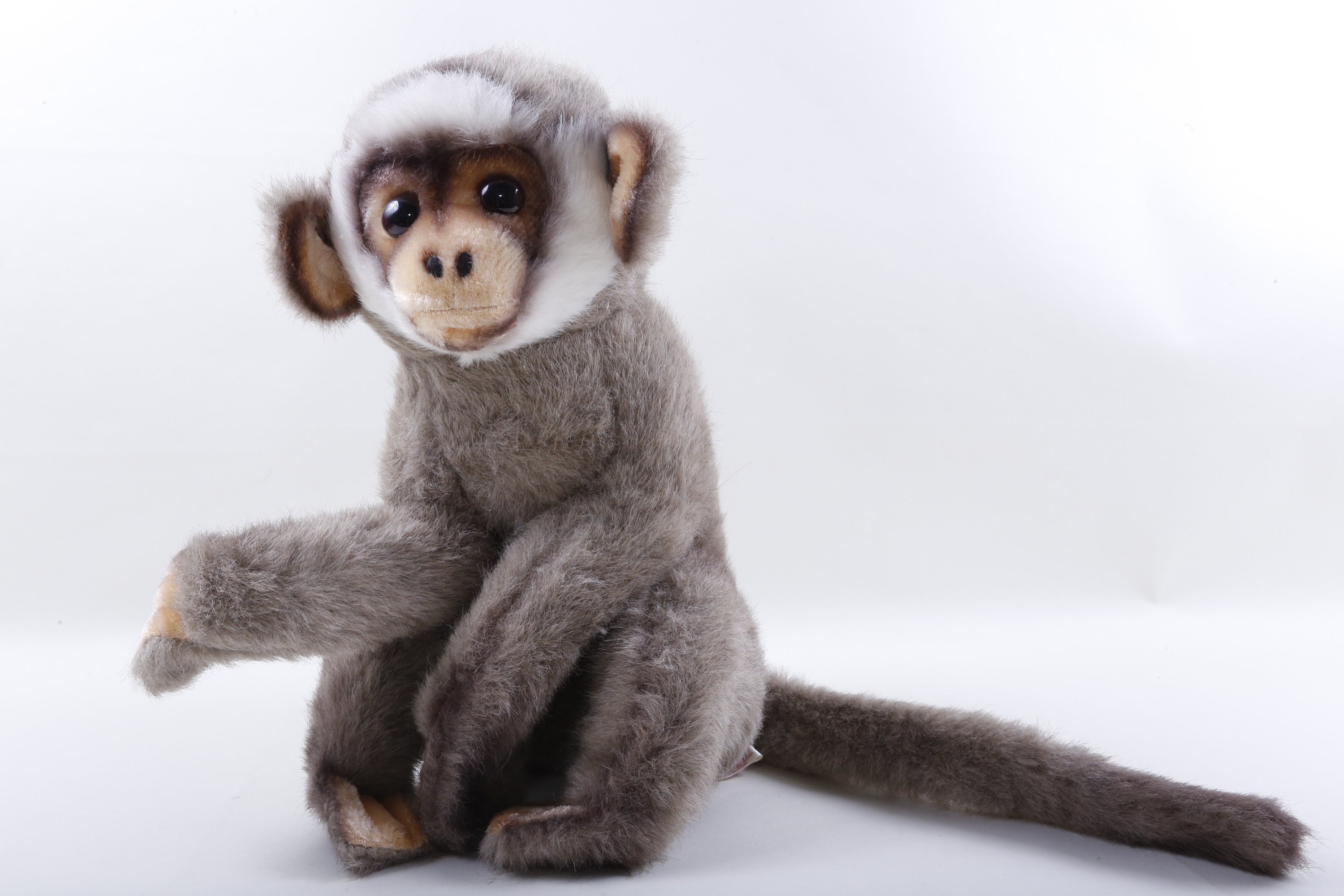grey monkey teddy
