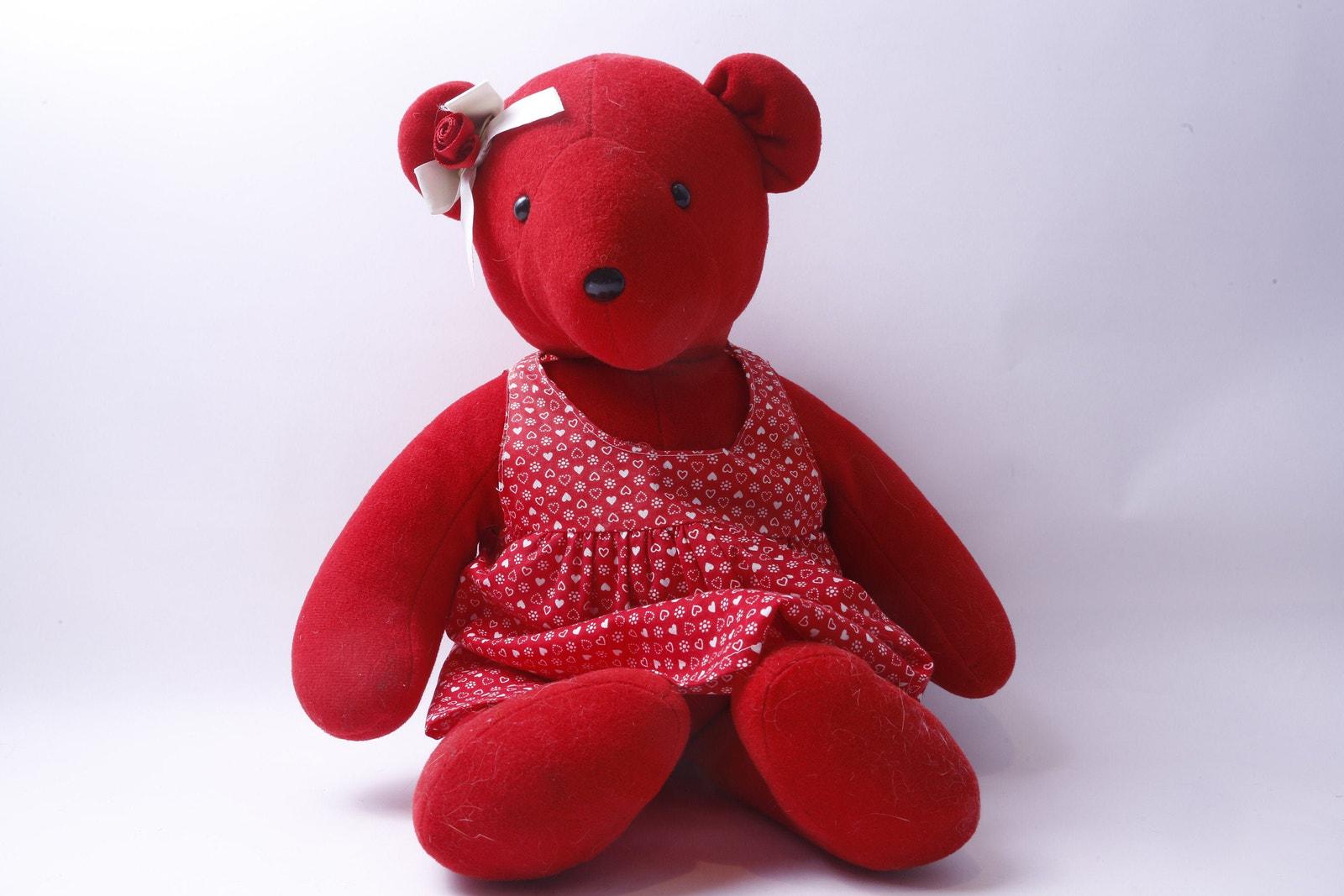 North american bear - Etsy 日本