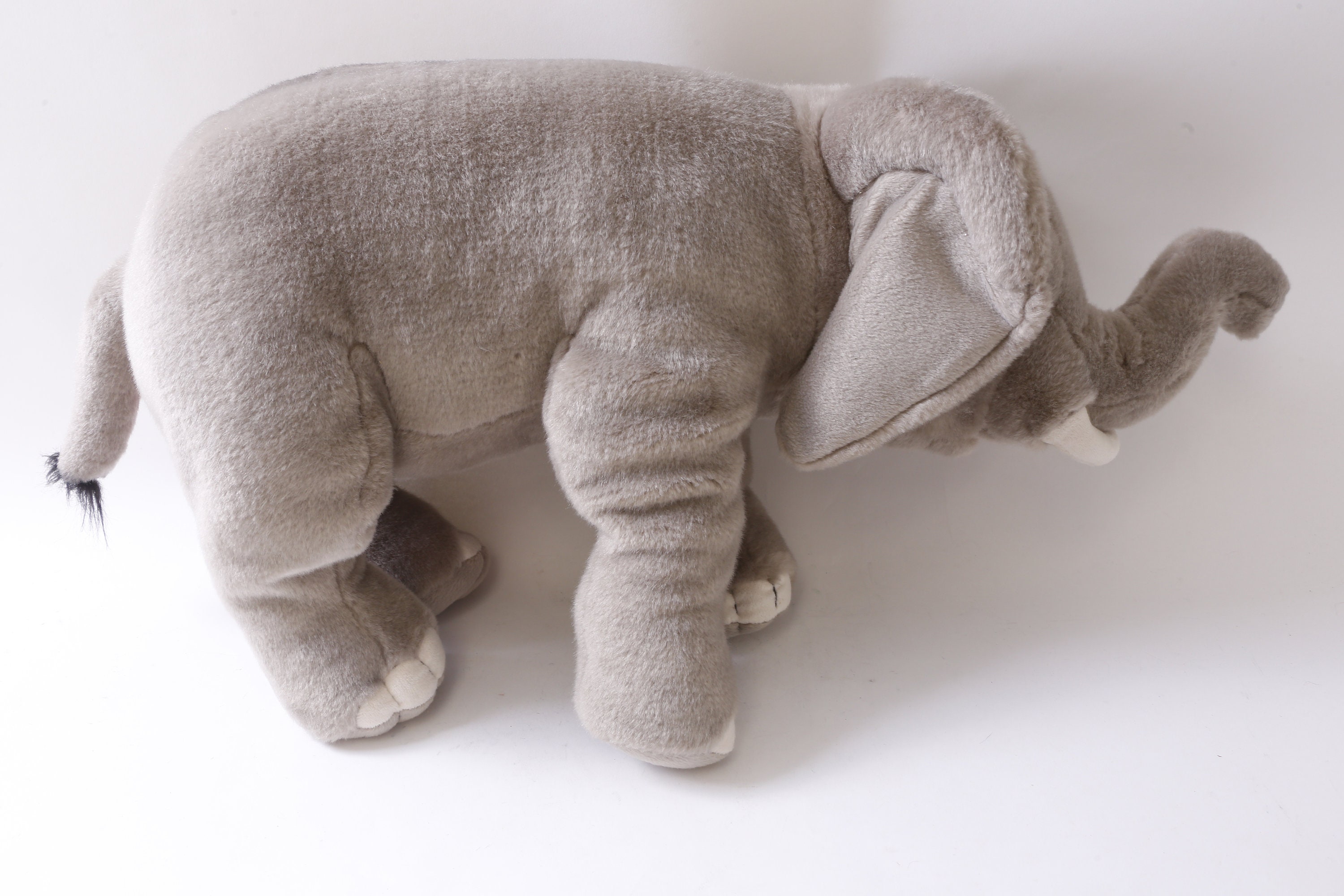 Elephant, Franz Carlweber, Switzerland, Grey, Animal, 22