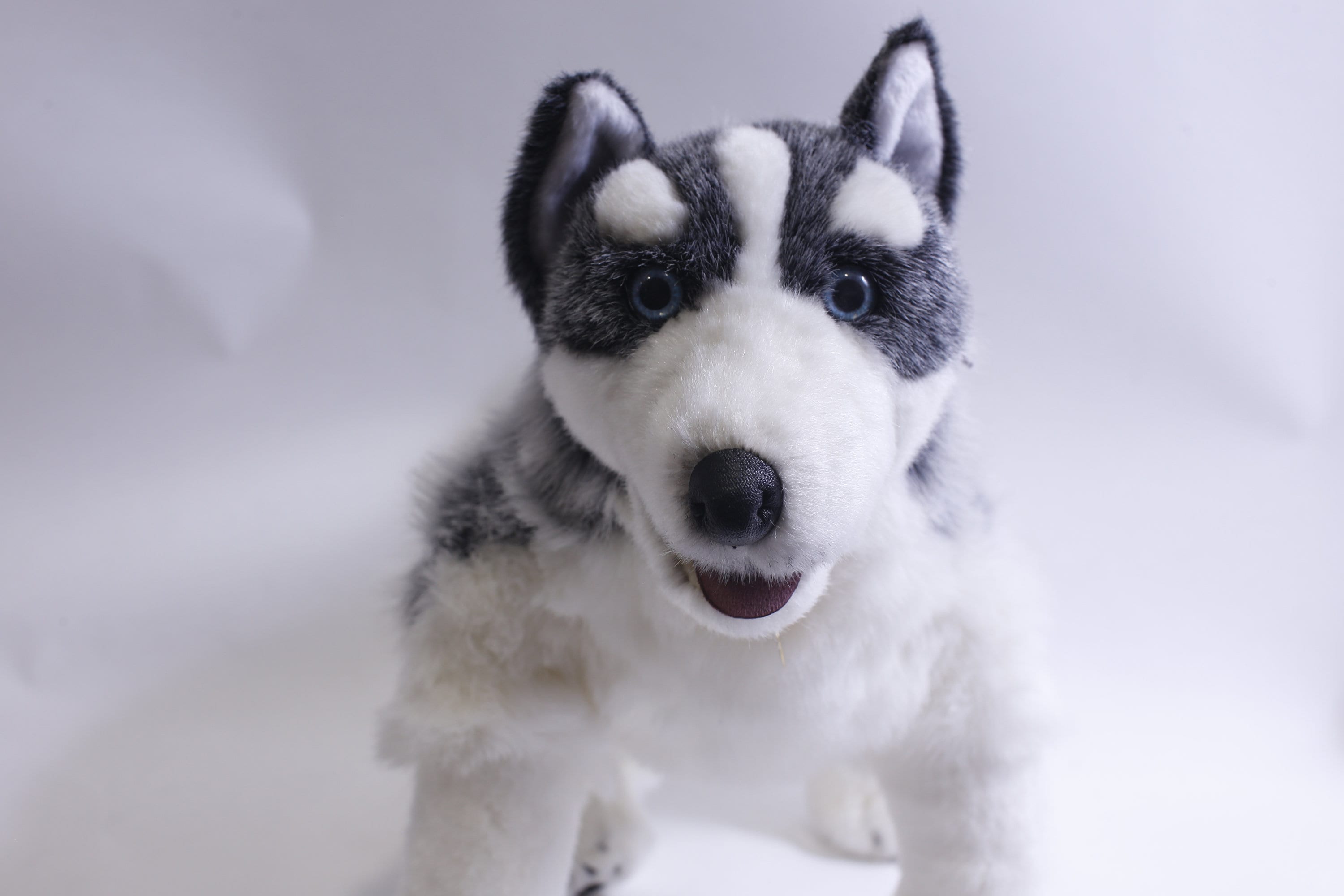 Life size husky stuffed animal hot sale
