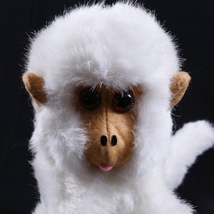 Kamar, Raro, Prototipo, Muestra, Topper Mono Blanco Cara Marrón, 1988, Suave, Peluche ~ 153 277