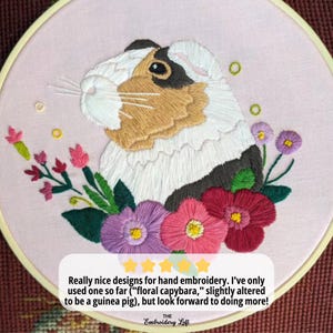 Puede incluir: Dise&ntilde;o bordado a mano de un conejillo de indias con flores coloridas en un aro de bordado rosa. El conejillo de indias tiene pelaje marr&oacute;n, negro y blanco. Las flores son rosas, moradas y rojas. El texto dice "Really nice designs for hand embroidery."