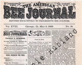 Antique Bee Journal Background Digital Download Printable Or Digital Collage 8"x10"