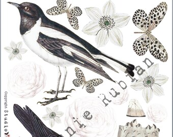 Black and White All Over Birds Shrink Plastic Printable Design Collage Sheet Digital Download