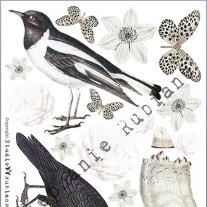 Black and White All Over Birds Shrink Plastic Printable Design Collage Sheet Digital Download image 1