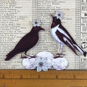 Black and White All Over Birds Shrink Plastic Printable Design Collage Sheet Digital Download image 3