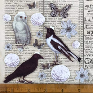 Black and White All Over Birds Shrink Plastic Printable Design Collage Sheet Digital Download image 2
