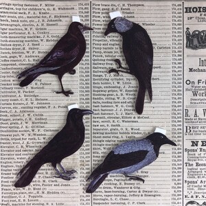 Corvids Crow Raven Rook Shrink Plastic Printable Design Collage Sheet Digital Download image 2