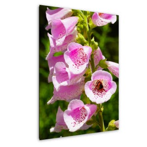 Puede incluir: Primer plano de un grupo de flores de dedalera rosa con interiores moteados blancos. Las flores tienen forma de campana y están dispuestas a lo largo de un tallo verde. Una mariposa está dentro de una de las flores. El fondo es verde borroso.