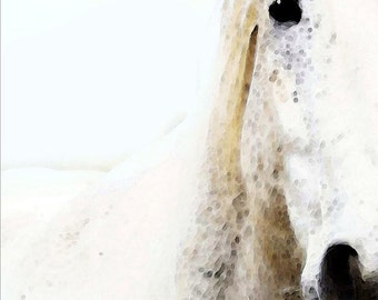 Horse Art Print Equine American Quarter Horses Animals Ranch Rustic Farm Riding Contemporary Country White Gift Artwork Farmhouse Animal