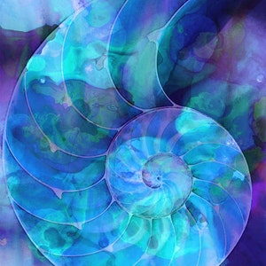 May include: A blue and purple nautilus shell with a spiral pattern. The shell is painted with a watercolor effect.
