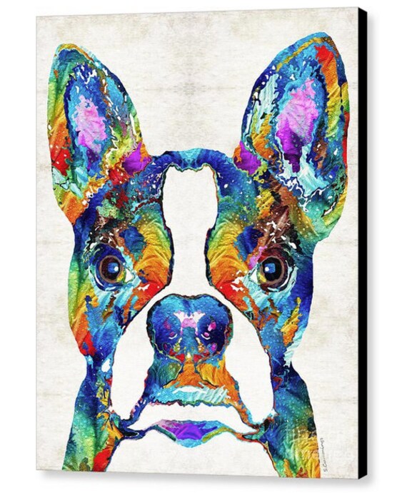 Colorful Boston Terrier Dog Lovers Art PRINT Dogs Pets Cute Nose