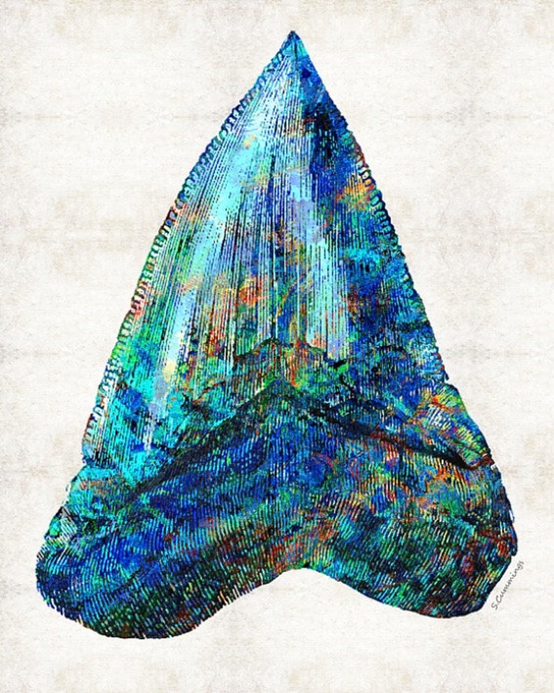 Shark Tooth Tropical Fish Art PRINT Colorful Beach Home Shark's Ocean ...