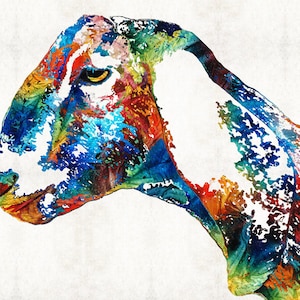 Rainbow colored colorful Nubian goat art.  Big goats ears in a pet animal portrait for farm animals lovers, gift, wall decor, farmhouse furnishings and country accents.