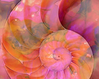 Nautilus Shell Art Print from Painting Colorful Pink Beach Ocean Sea Shells CANVAS Beachy Decor Orange Natural Green Aqua Elegant Coastal