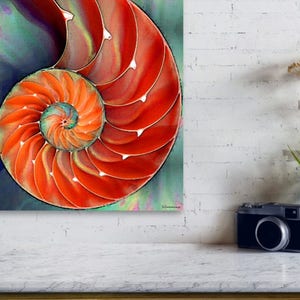 Nautilus Shell Art Print from Painting Colorful Red Beach Ocean Sea Shells CANVAS Ready To Hang Large Orange Natural Green Aqua Elegant Art image 4