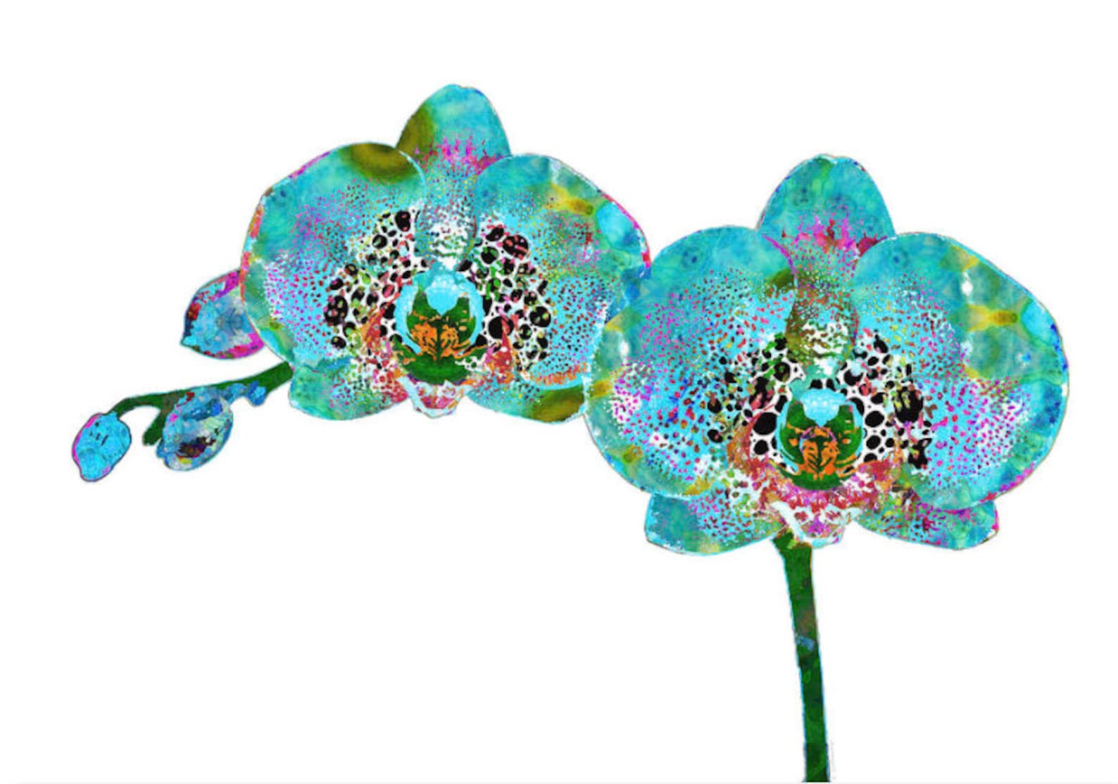 Colorful Blue Orchid Art Print From Painting Tropical Fun Pink Etsy