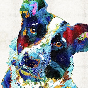 Colorful Border Collie Dog Art CANVAS PRINT from Painting Pet Portraits Cute Rainbow Animal Pop Art CANVAS Collies Fun Funny Herding Dogs
