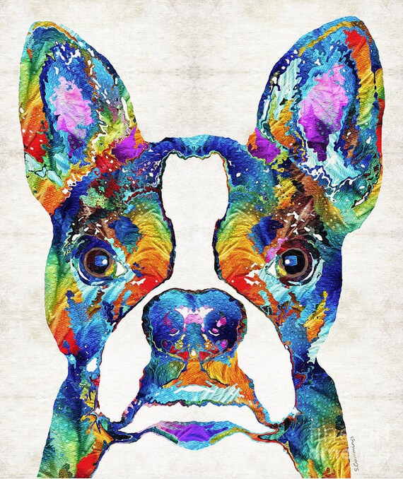 Colorful Boston Terrier Dog Art Print From Painting Dogs Pets