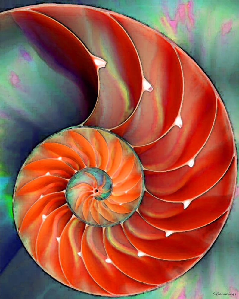 Red nautilus seashell art on a green and blue background in a watercolor style.  Beach wall art, ocean decor, coastal prints accent and home furnishings.